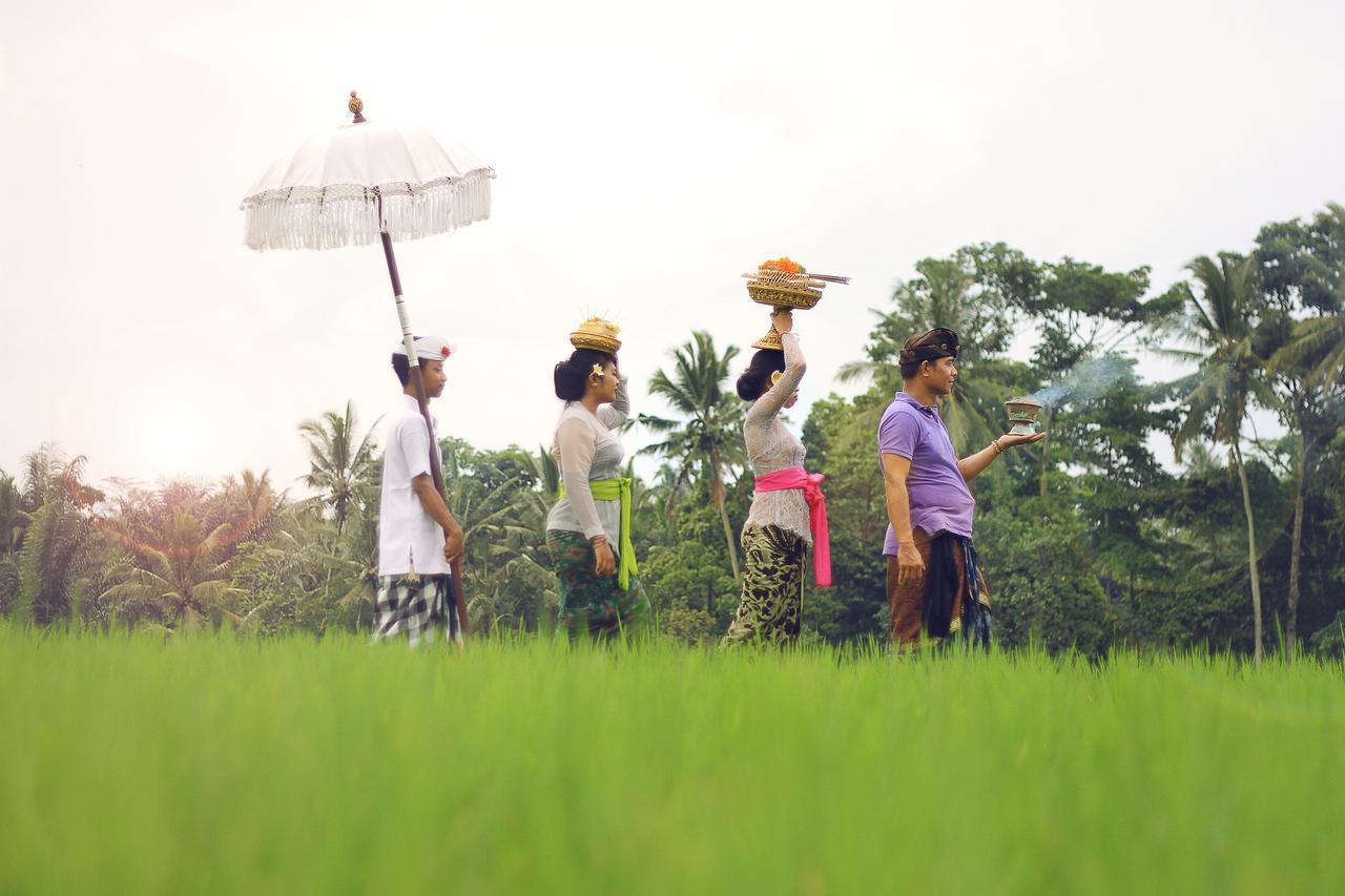 Villa Ibu Rama Ubud Denpasar Exteriér fotografie