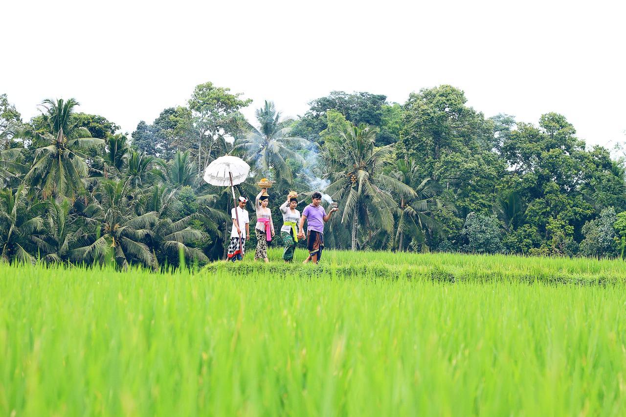 Villa Ibu Rama Ubud Denpasar Exteriér fotografie